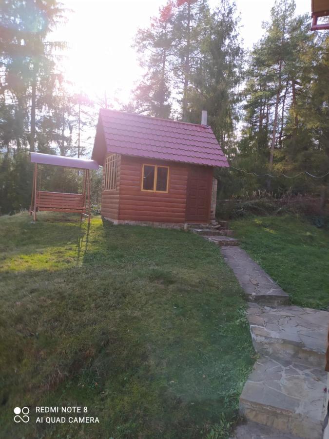 Лісова Казка Villa Jaremcse Kültér fotó