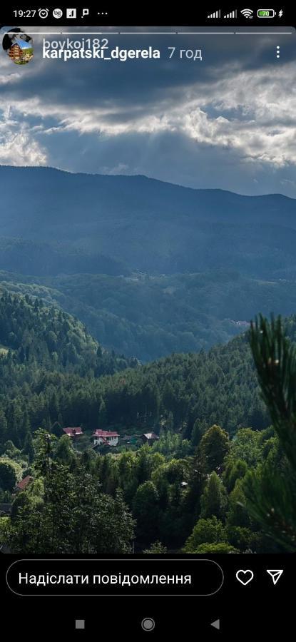 Лісова Казка Villa Jaremcse Kültér fotó