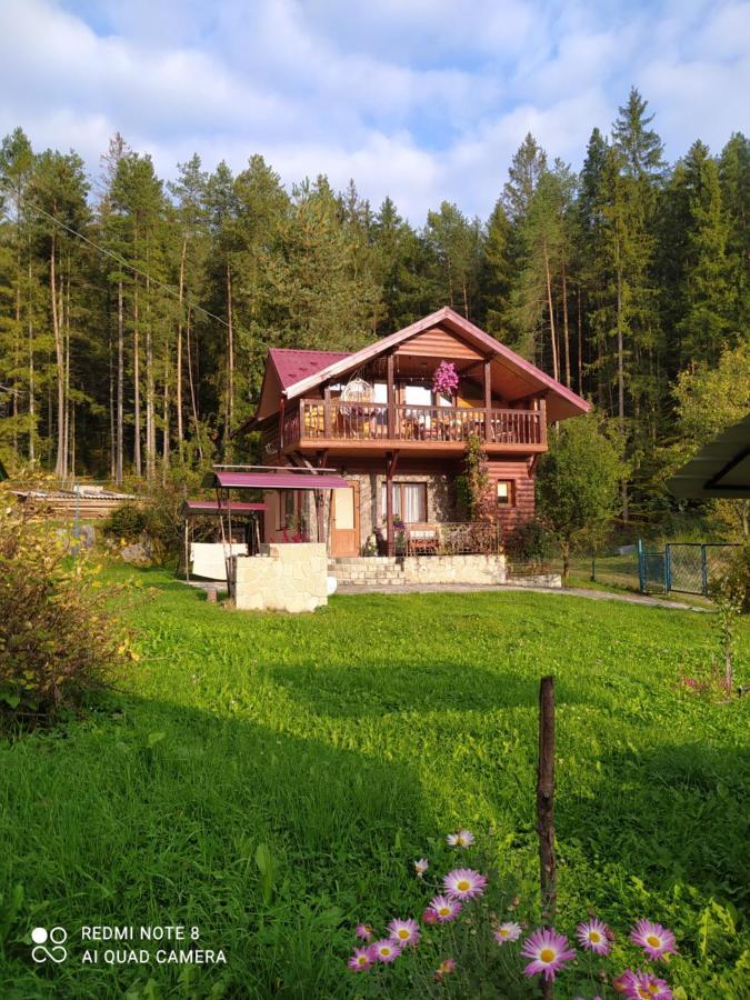 Лісова Казка Villa Jaremcse Kültér fotó