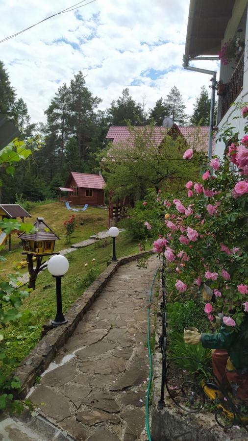Лісова Казка Villa Jaremcse Kültér fotó