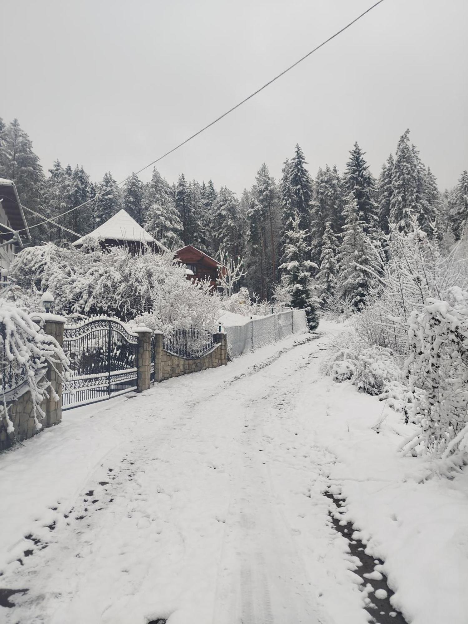 Лісова Казка Villa Jaremcse Kültér fotó
